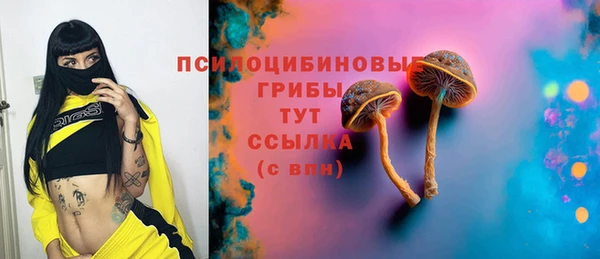мдпв Бабаево